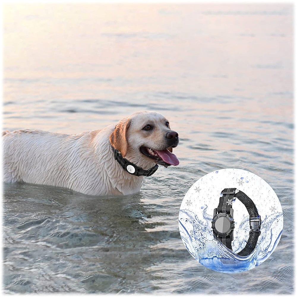 Nylon Dog Collar for Apple AirTag