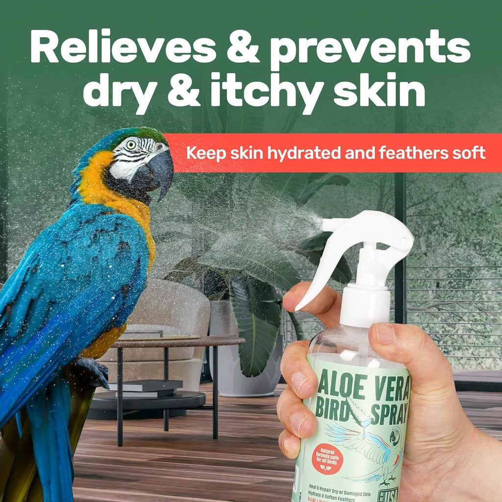 Aloe vera bird spray bottle with a parrot and text on a green background