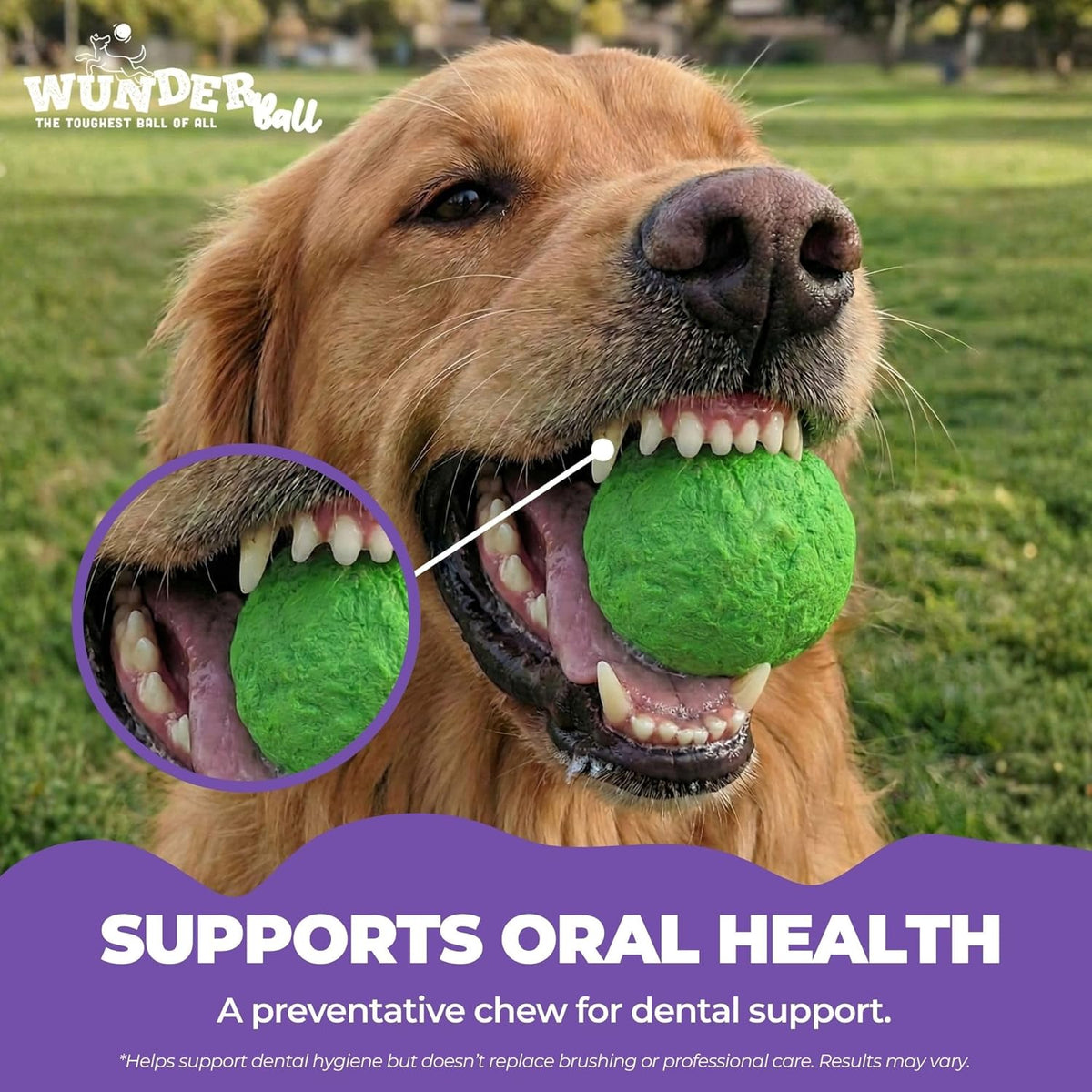 Natural Rubber Fetch Ball for Dogs