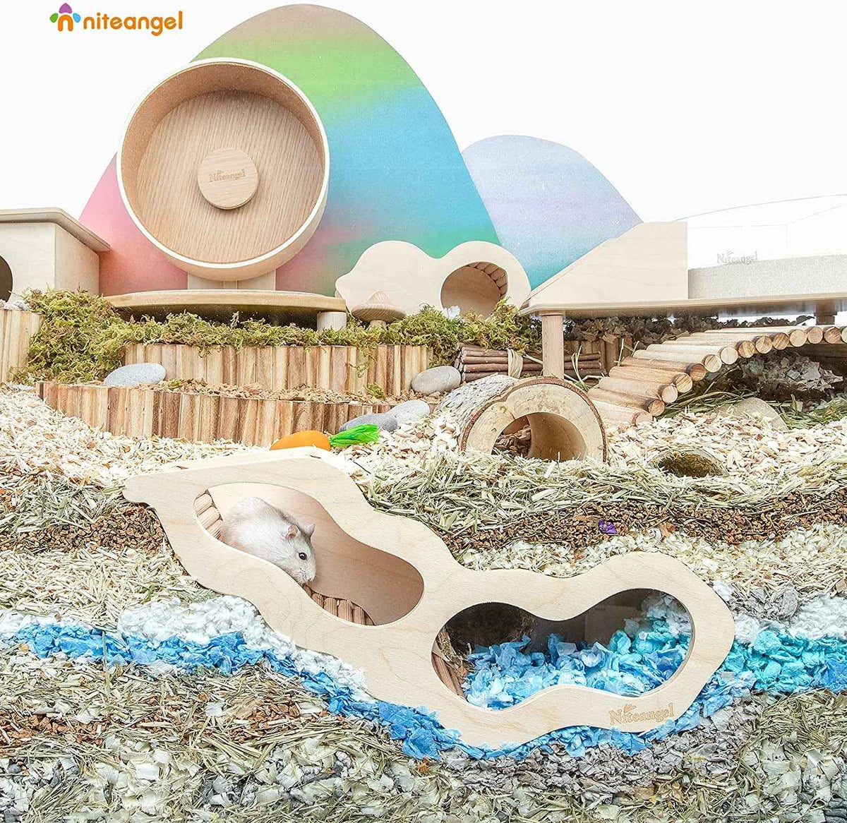Hamster playground with wooden structures, wheels, and a colorful egg-shaped object.