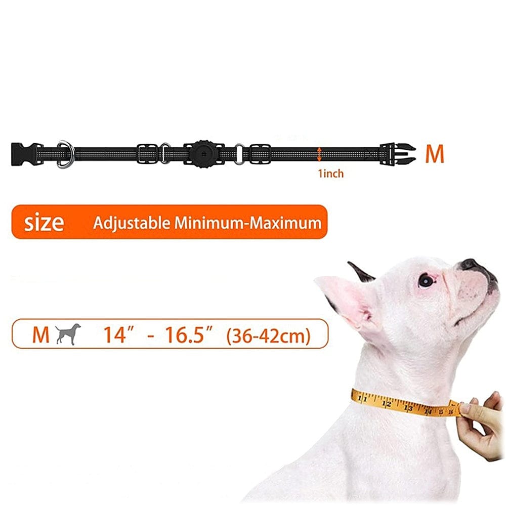 Nylon Dog Collar for Apple AirTag