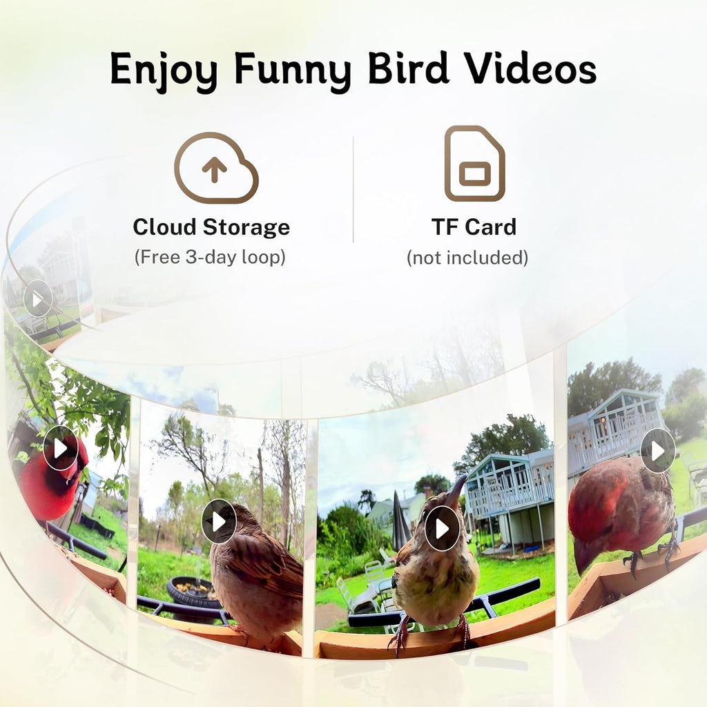Smart Bird Feeder with 1080P HD WiFi Camera – AI Species Recognition, Night Vision & Motion Alerts