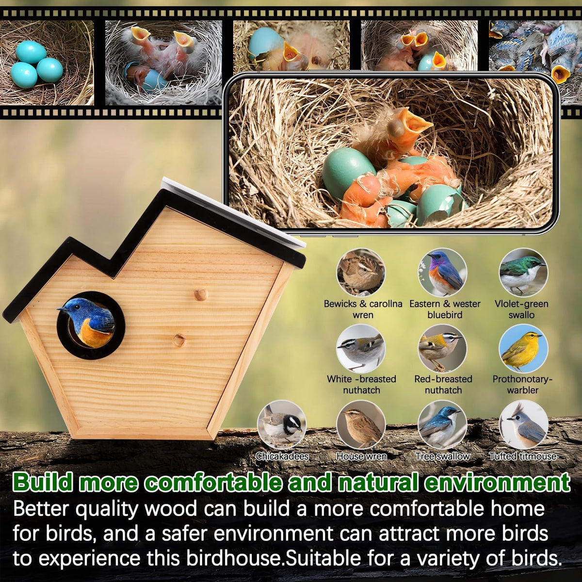 Smart Birdhouse with Camera