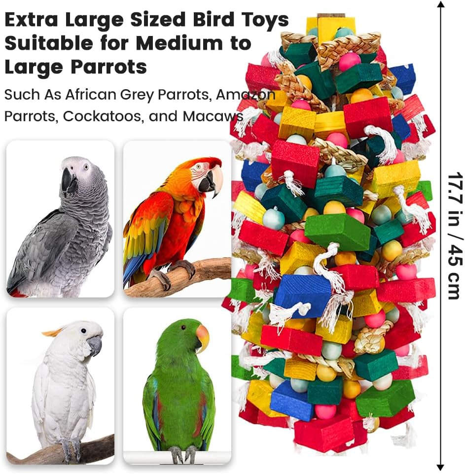 Large Bird Toy Bundle –  2 Pack