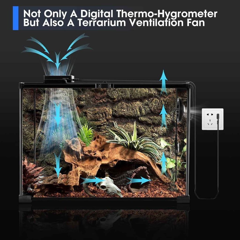 Terrarium with a digital thermo-hygrometer and ventilation fan, featuring text 'Not Only A Digital Thermo-Hygrometer But Also A Terrarium Ventilation Fan'.