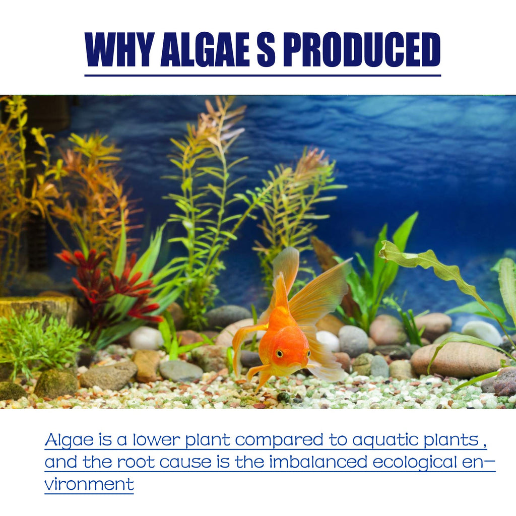 Aquarium Algae Removal Powder