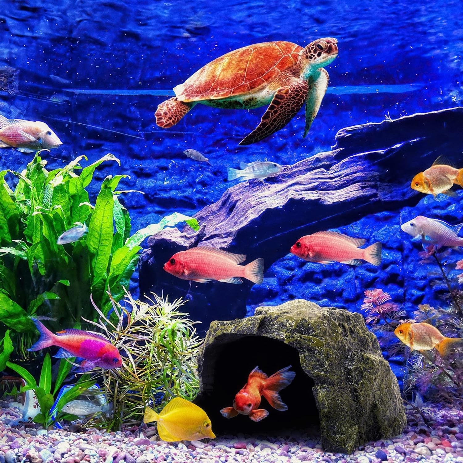 Reptile Rock Hide Cave – Natural Resin Hideout for Lizards, Geckos, Turtles, Frogs & Fish