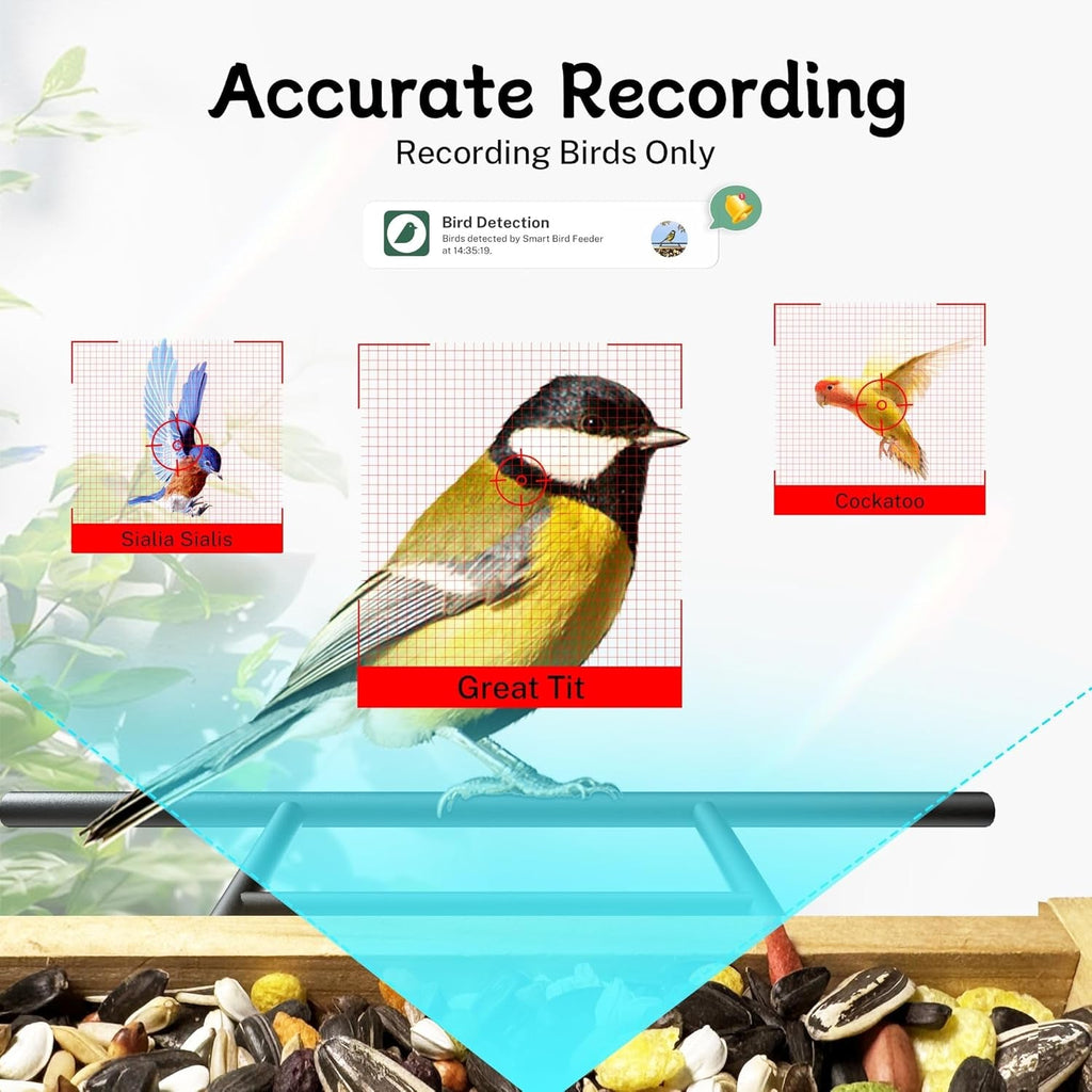 Smart Bird Feeder with 1080P HD WiFi Camera – AI Species Recognition, Night Vision & Motion Alerts