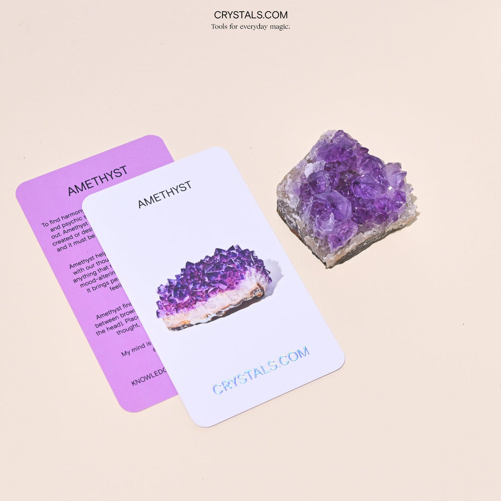 Amethyst cluster with large lavender points beside purple and white collector cards.
