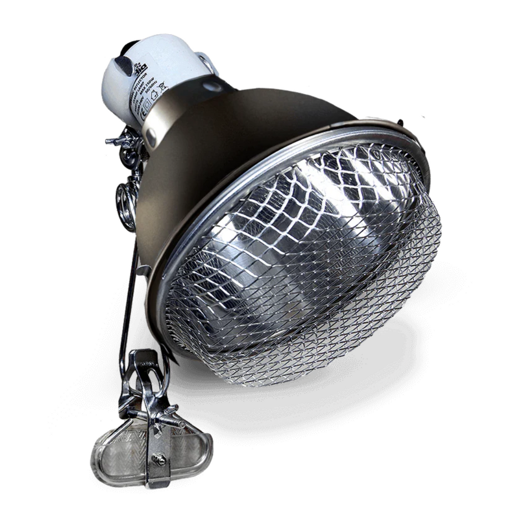 Arcadia Ceramic Reflector Clamp Lamp