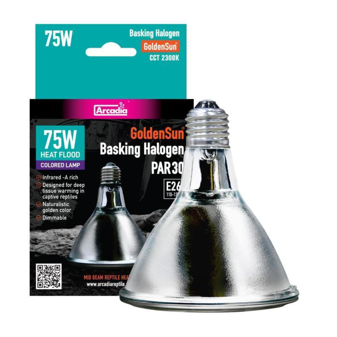 Arcadia GoldenSun Basking Halogen Bulb