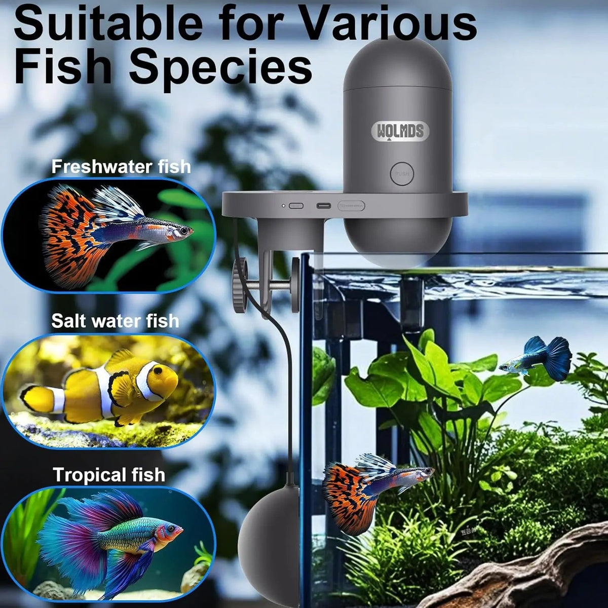 Automatic Fish Feeder with WiFi & 2.5K HD Camera