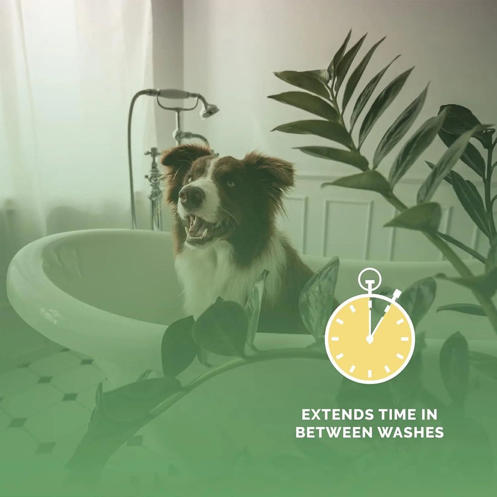 Bark2Basics Salon Scents Pet Cologne – Professional Deodorizing Spray for Dogs & Cats | Alcohol-Free, USA-Made | 8 oz | 10 Scents