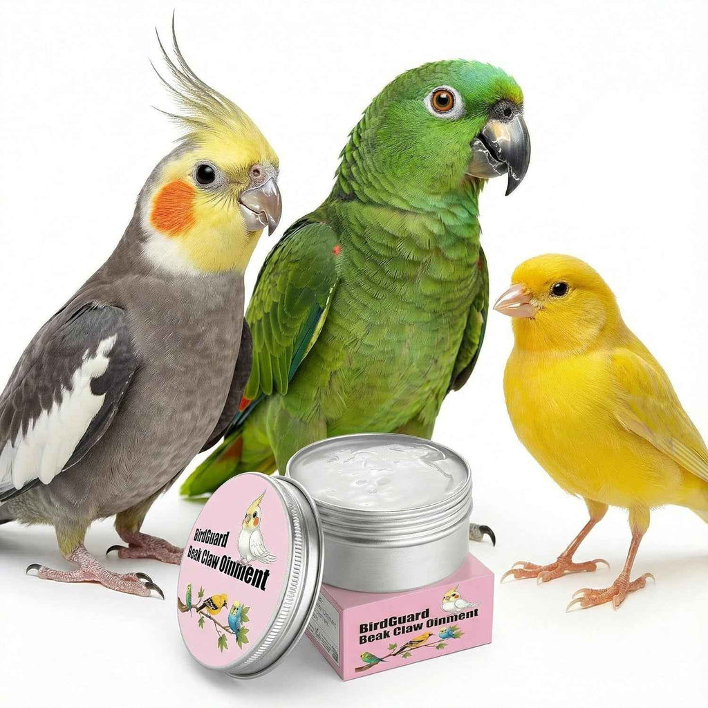 Three birds (cockatiel, parrot, and canary) with a jar of BirdGuard Beak Clean Ointment on a white background.