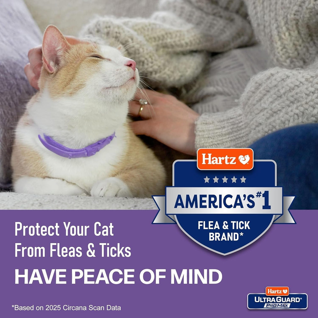 Hartz UltraGuard ProMax Flea & Tick Collar