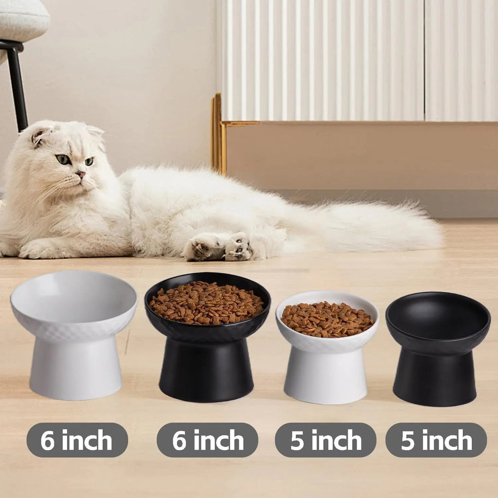 Elevated Tilted Ceramic Pet Bowls