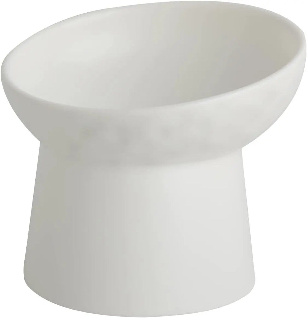 Elevated Tilted Ceramic Pet Bowls
