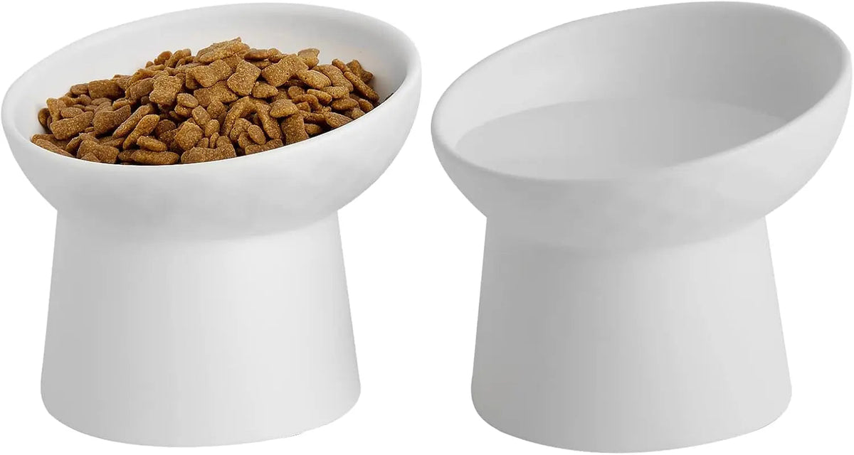 Elevated Tilted Ceramic Pet Bowls