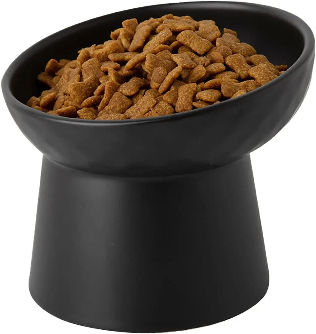 Elevated Tilted Ceramic Pet Bowls