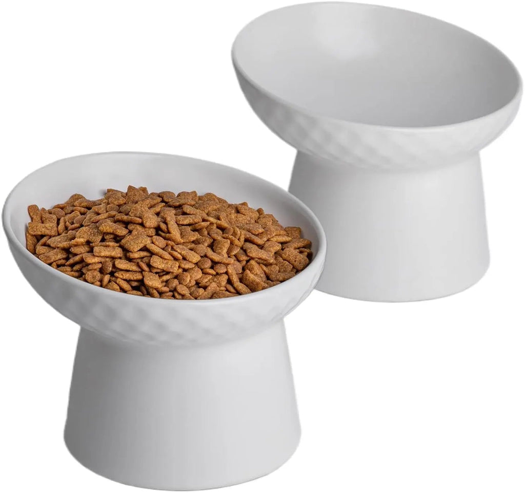 Elevated Tilted Ceramic Pet Bowls