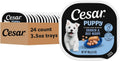 Cesar Puppy Classic Loaf in Sauce – Wet Dog Food for Puppies | Chicken, Beef & Variety Pack | 3.5 oz Trays, 24-Count