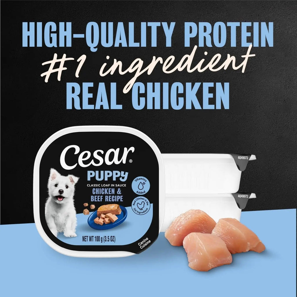 Cesar Puppy Classic Loaf in Sauce – Wet Dog Food for Puppies | Chicken, Beef & Variety Pack | 3.5 oz Trays, 24-Count