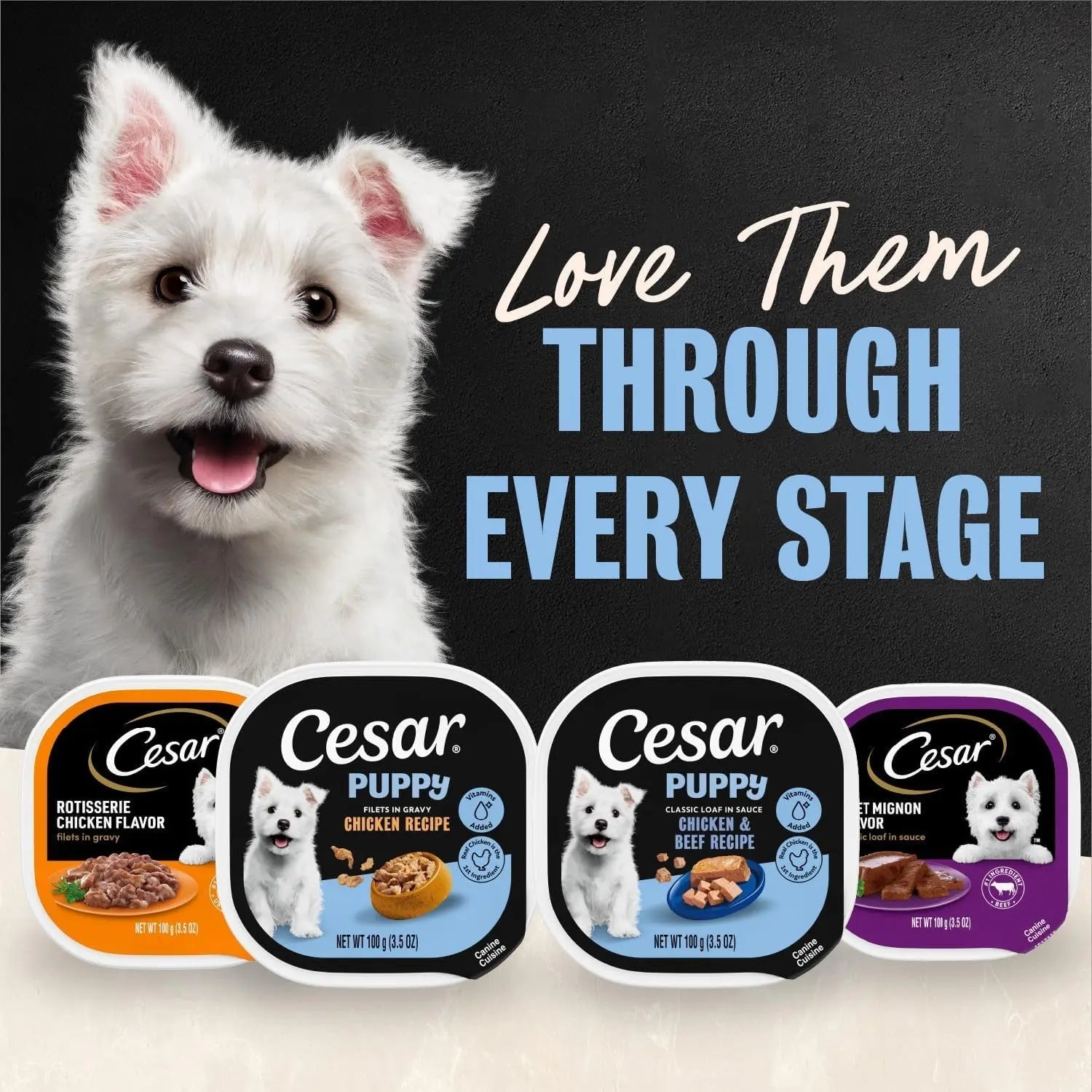 Cesar Puppy Classic Loaf in Sauce – Wet Dog Food for Puppies | Chicken, Beef & Variety Pack | 3.5 oz Trays, 24-Count