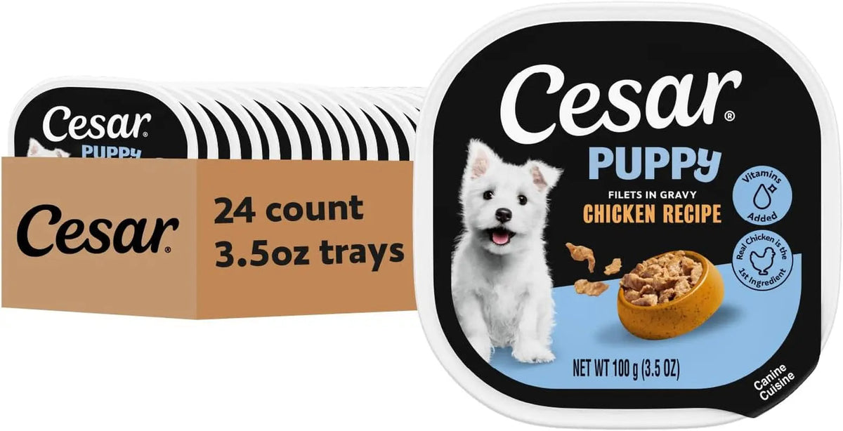 Cesar Puppy Classic Loaf in Sauce – Wet Dog Food for Puppies