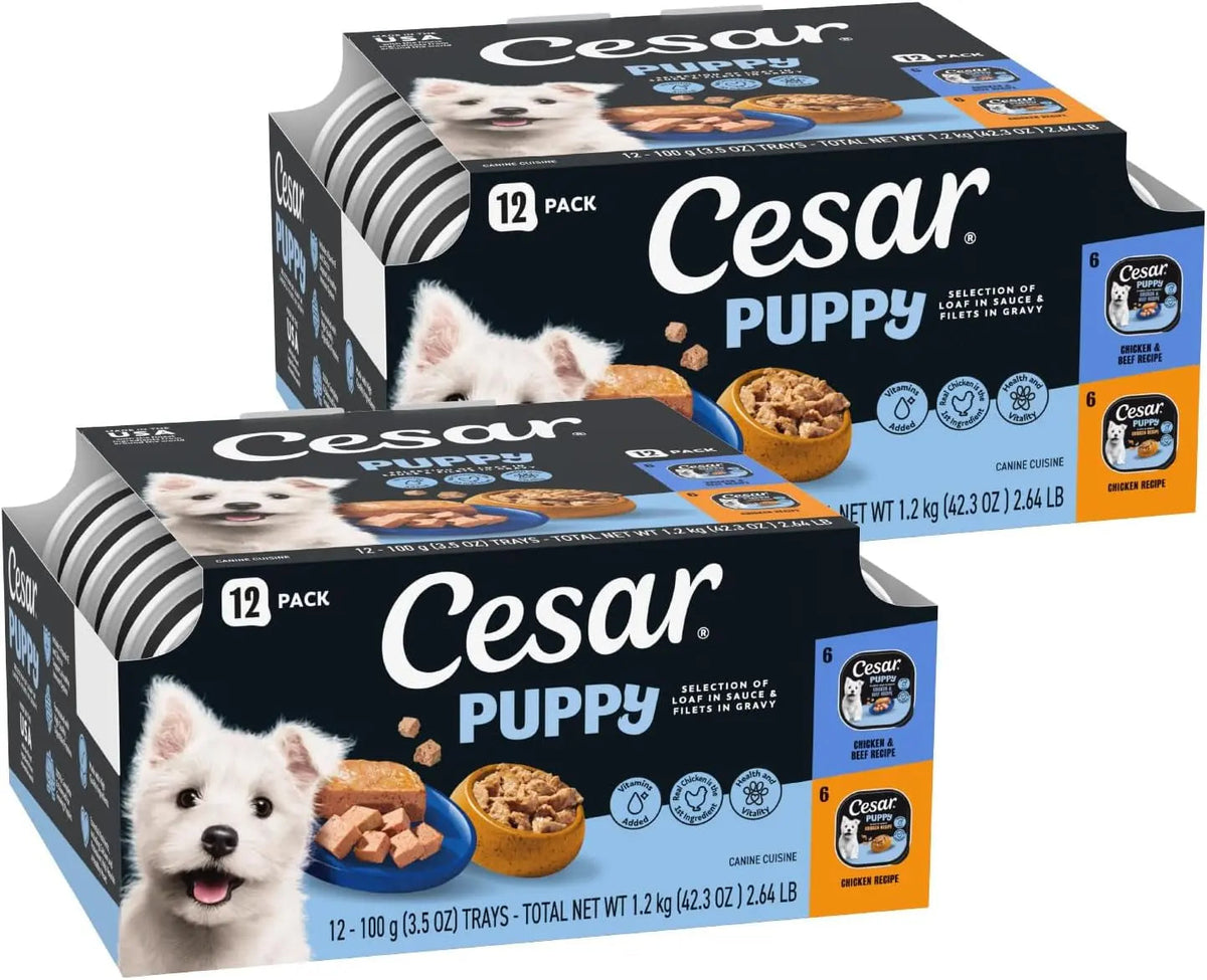 Cesar Puppy Classic Loaf in Sauce – Wet Dog Food for Puppies