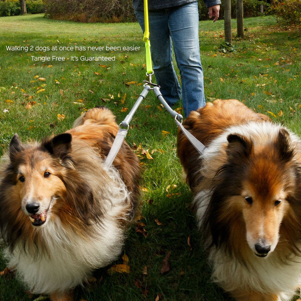 Tangle-Free Double Dog Leash Coupler