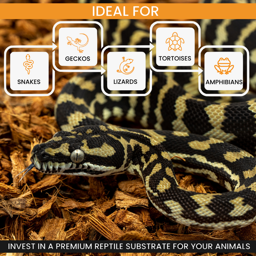 ReptiChip BabiChip Coconut Chip Substrate for Reptiles & Amphibians