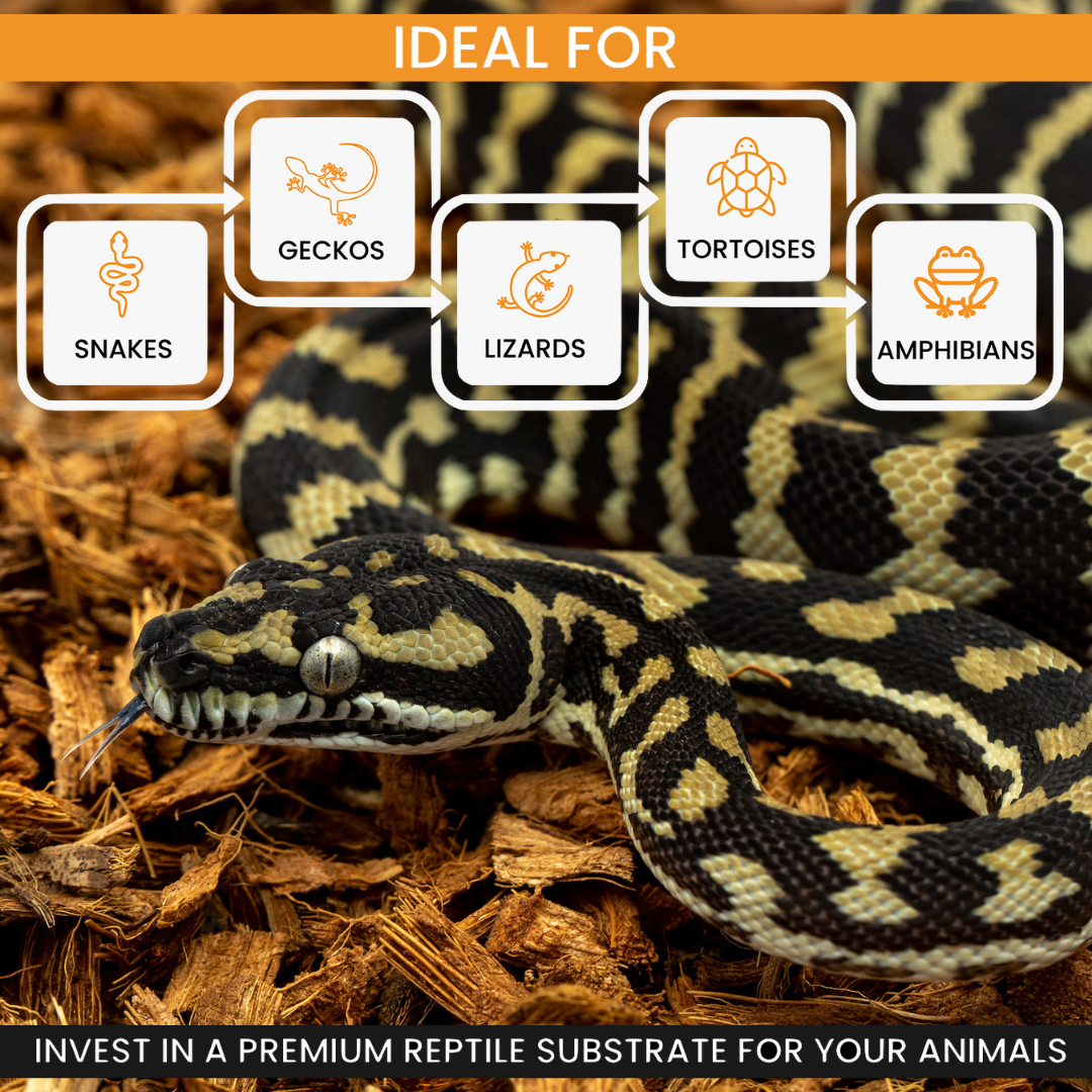 ReptiChip BabiChip Coconut Chip Substrate for Reptiles & Amphibians