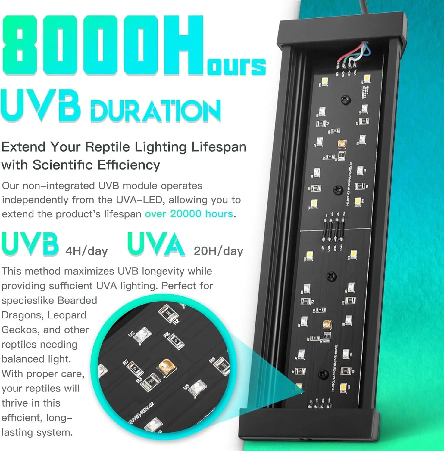 Dimmable LED Reptile UVB Lamp – 12W, 8000-Hour UVB Module | 4 Brightness Levels & Auto Timer | 5", 8" & 12" Sizes