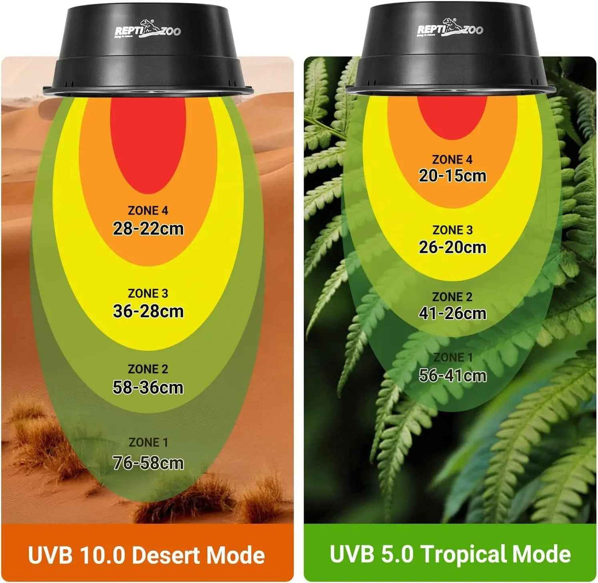 Two UVB lamps with labeled zones and modes on a desert and tropical plant background.