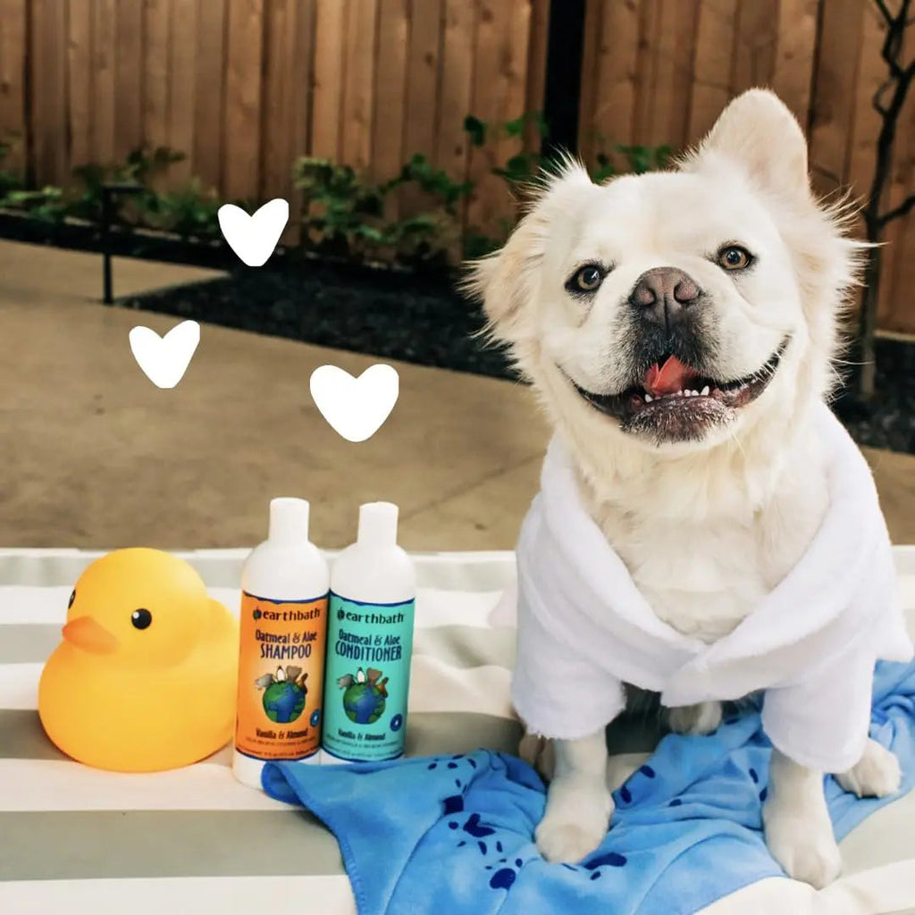 Earthbath Oatmeal & Aloe Dog Shampoo & Conditioner Set – Soothing Relief for Dry, Itchy & Sensitive Skin | Paraben-Free, USA-Made | 16 oz