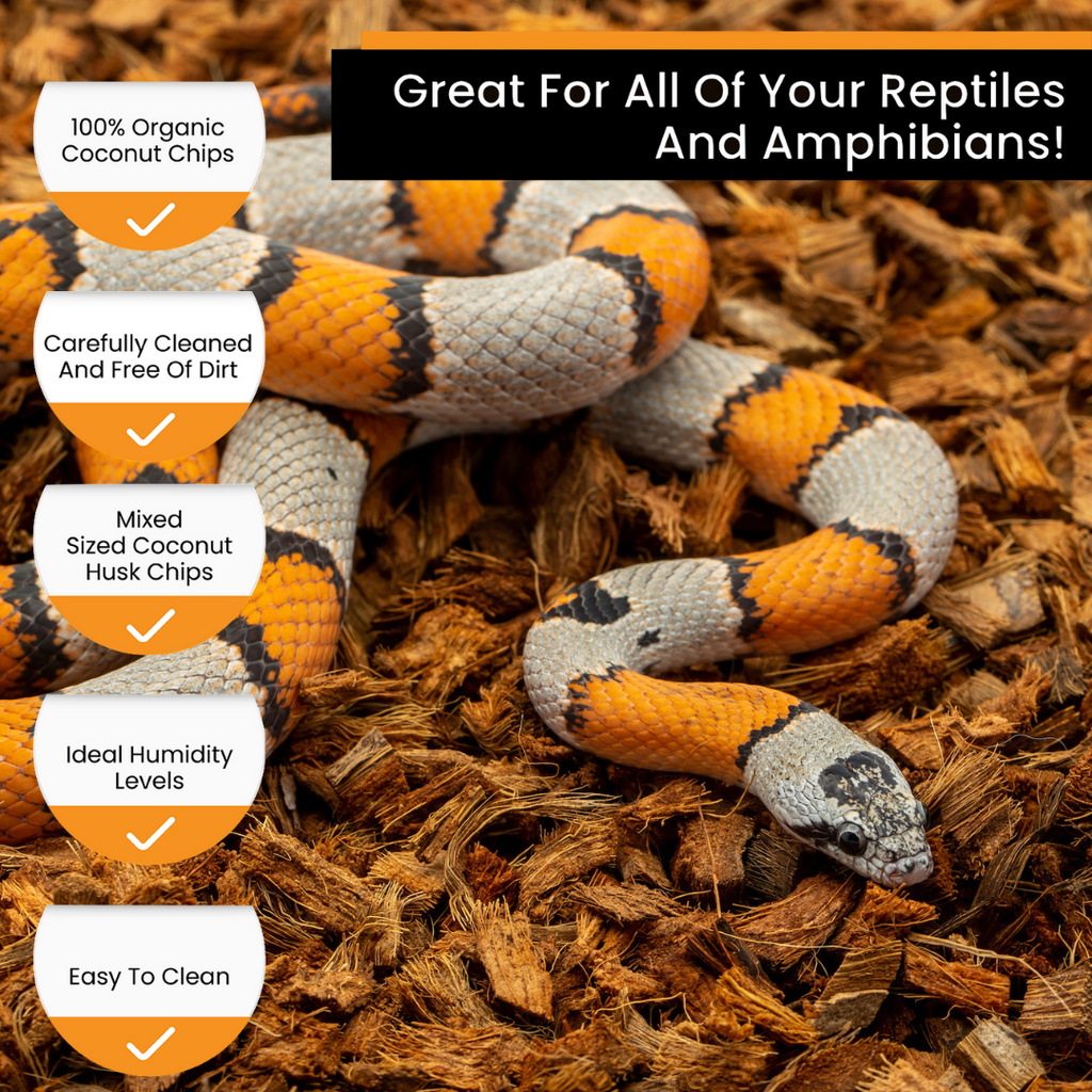 ReptiChip BabiChip Coconut Chip Substrate for Reptiles & Amphibians
