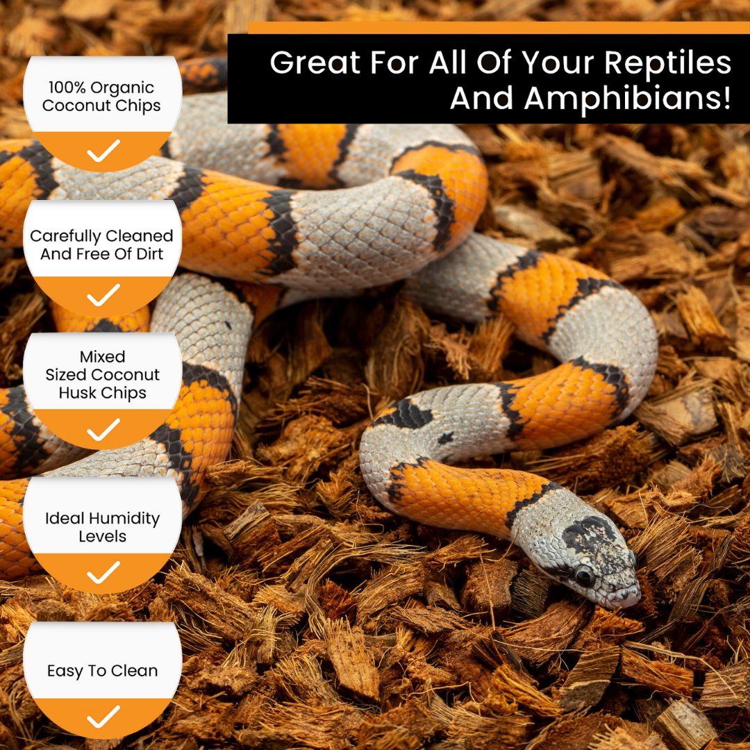 ReptiChip BabiChip Coconut Chip Substrate for Reptiles & Amphibians