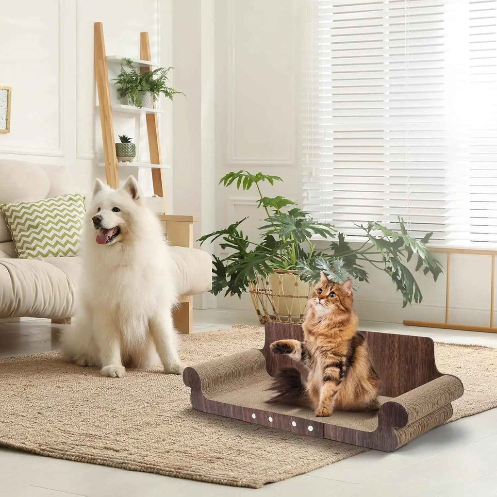 A cat sits on a scratching pad in a bright living room, while a white dog watches from the floor. The room has a sofa, plants, a window with blinds, and a rug.