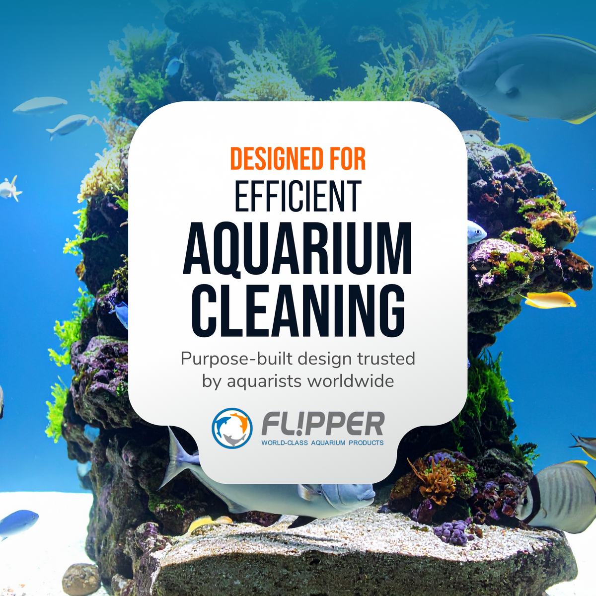 Flipper Platinum Aquarium Algae Scraper