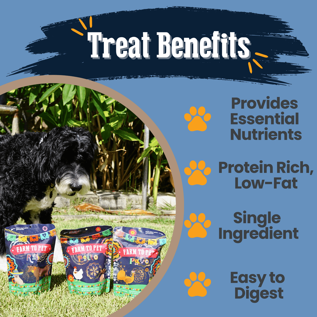 Farm to Pet Premios Para Perros Fiesta Pack