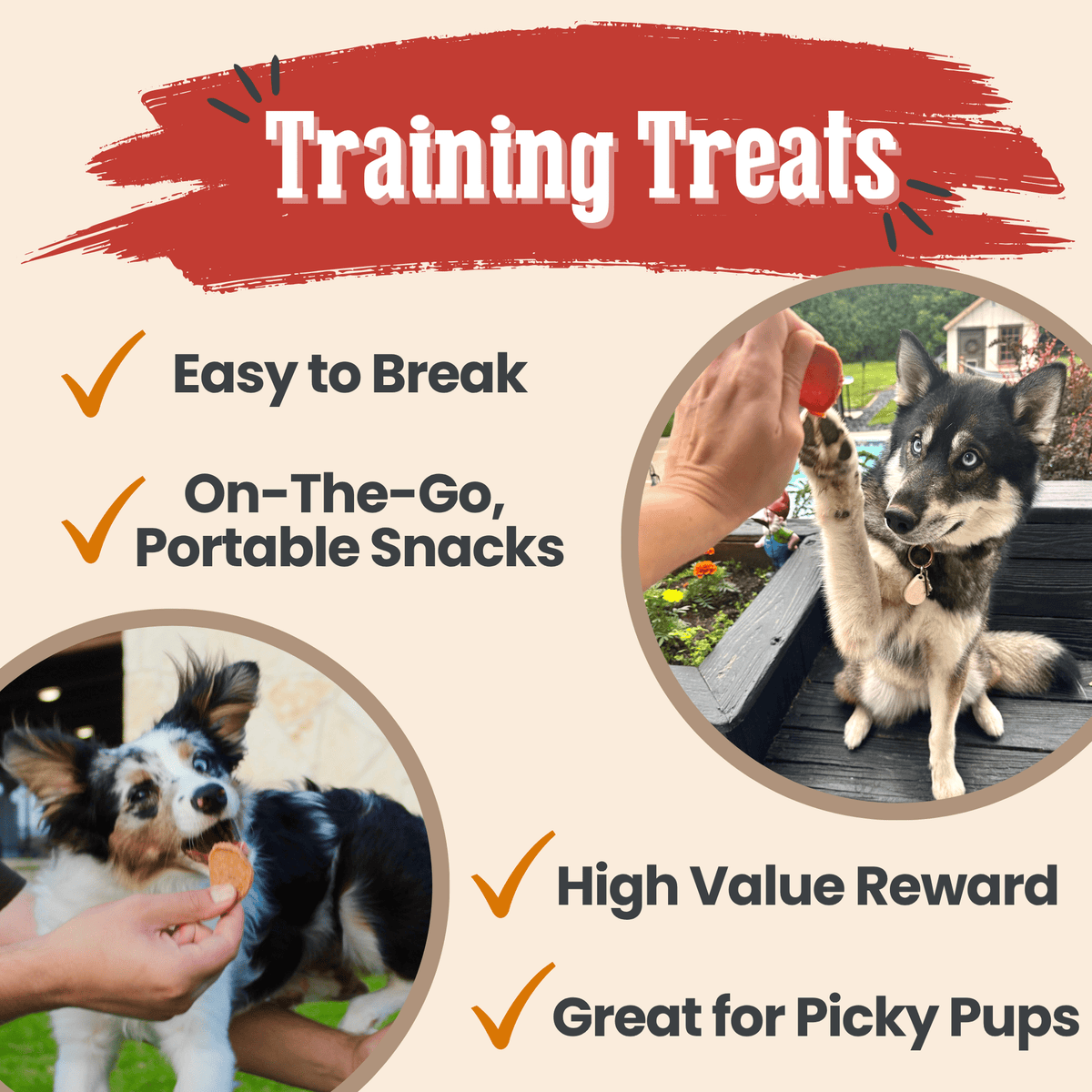 Turkey & Chicken Chip Dog Treat Duo
