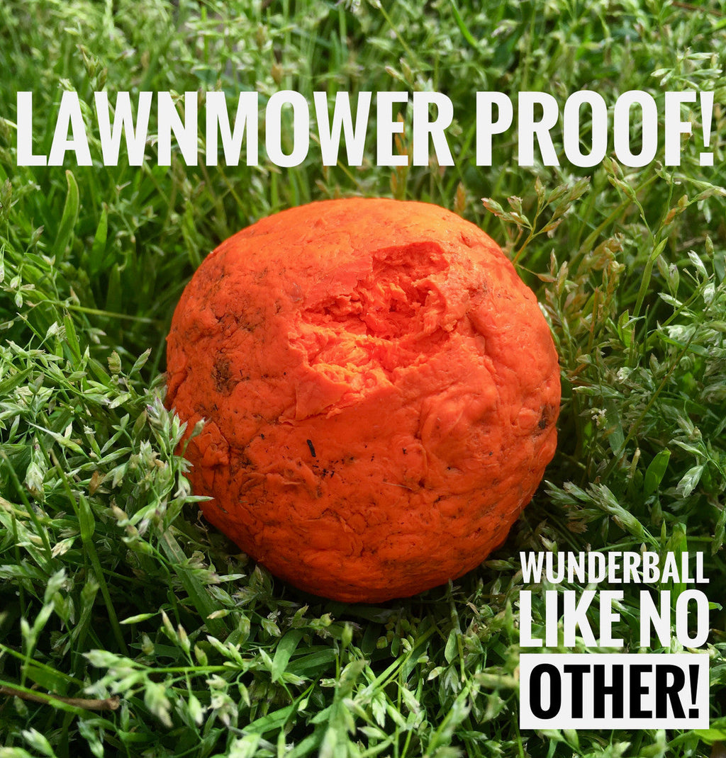 Natural Rubber Fetch Ball for Dogs