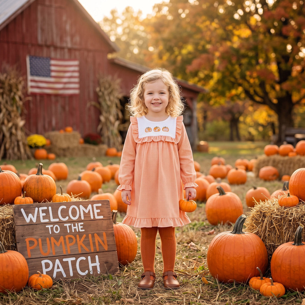 Girls' Pumpkin Embroidered Long-Sleeve Ruffle Dress