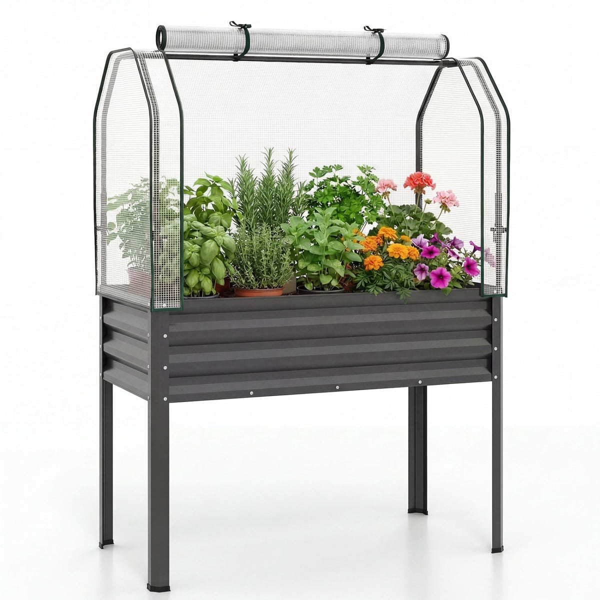Galvanized Raised Garden Bed with Greenhouse Cover