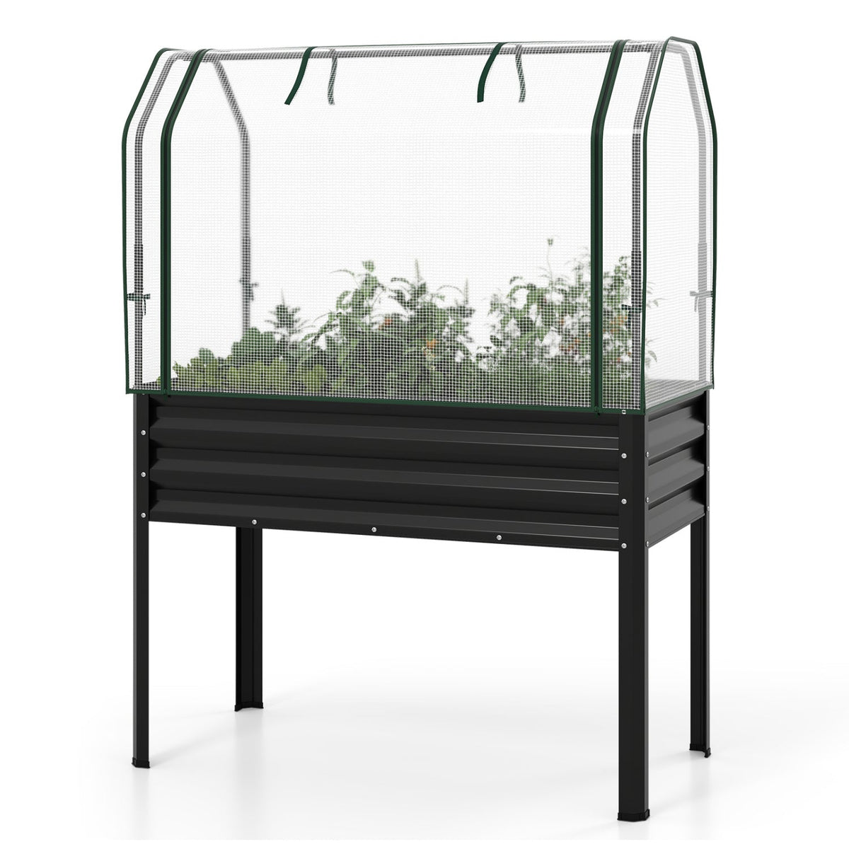 Galvanized Raised Garden Bed with Greenhouse Cover