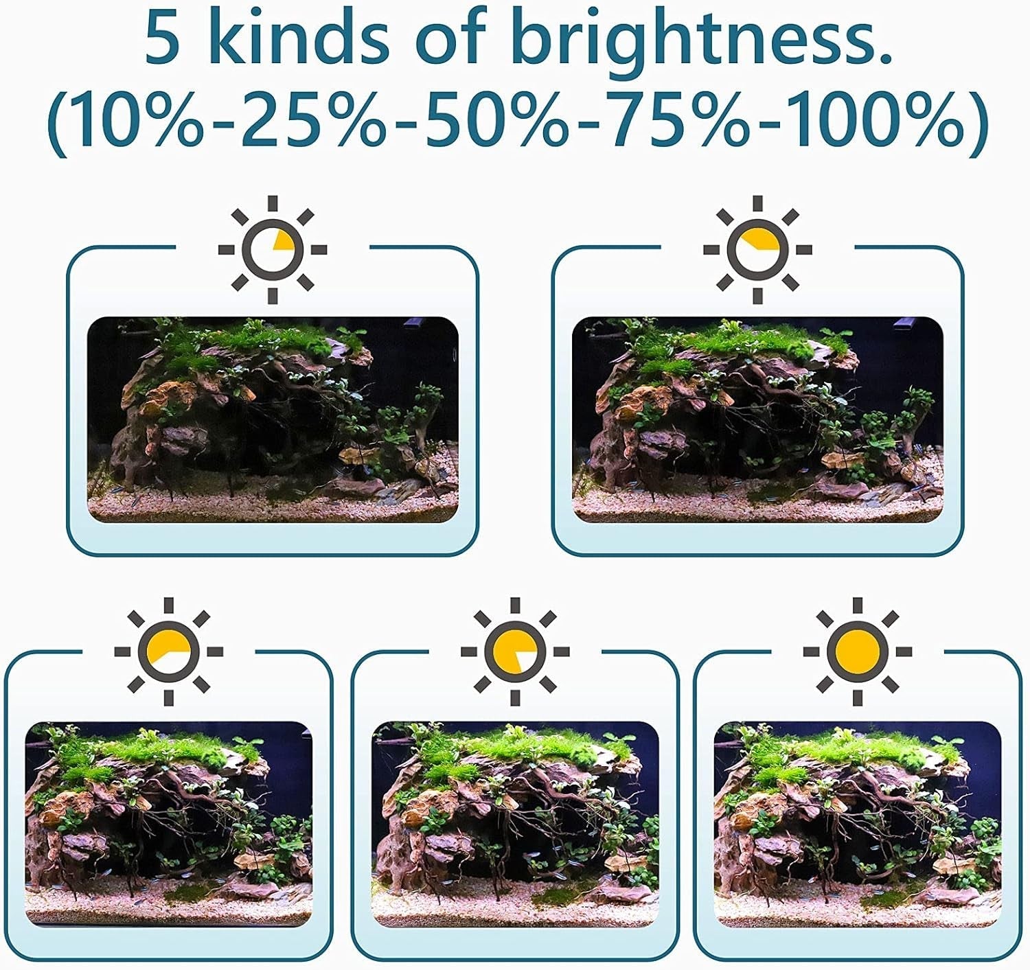 Hygger Clip-On Aquarium LED Light – 24/7 Timer | 7 Colors | 12W or 14W | 7–20" Tanks