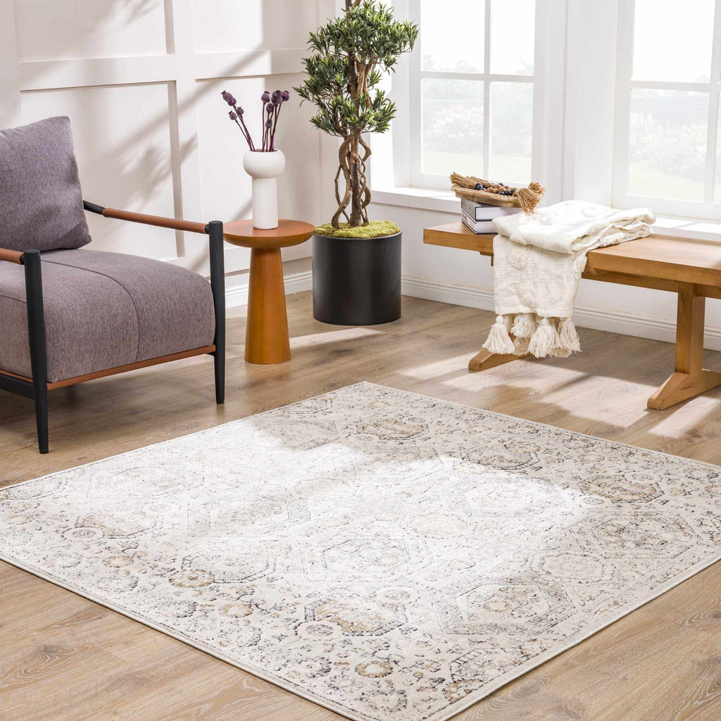 Parkerfield Moroccan Farmhouse Area Rug