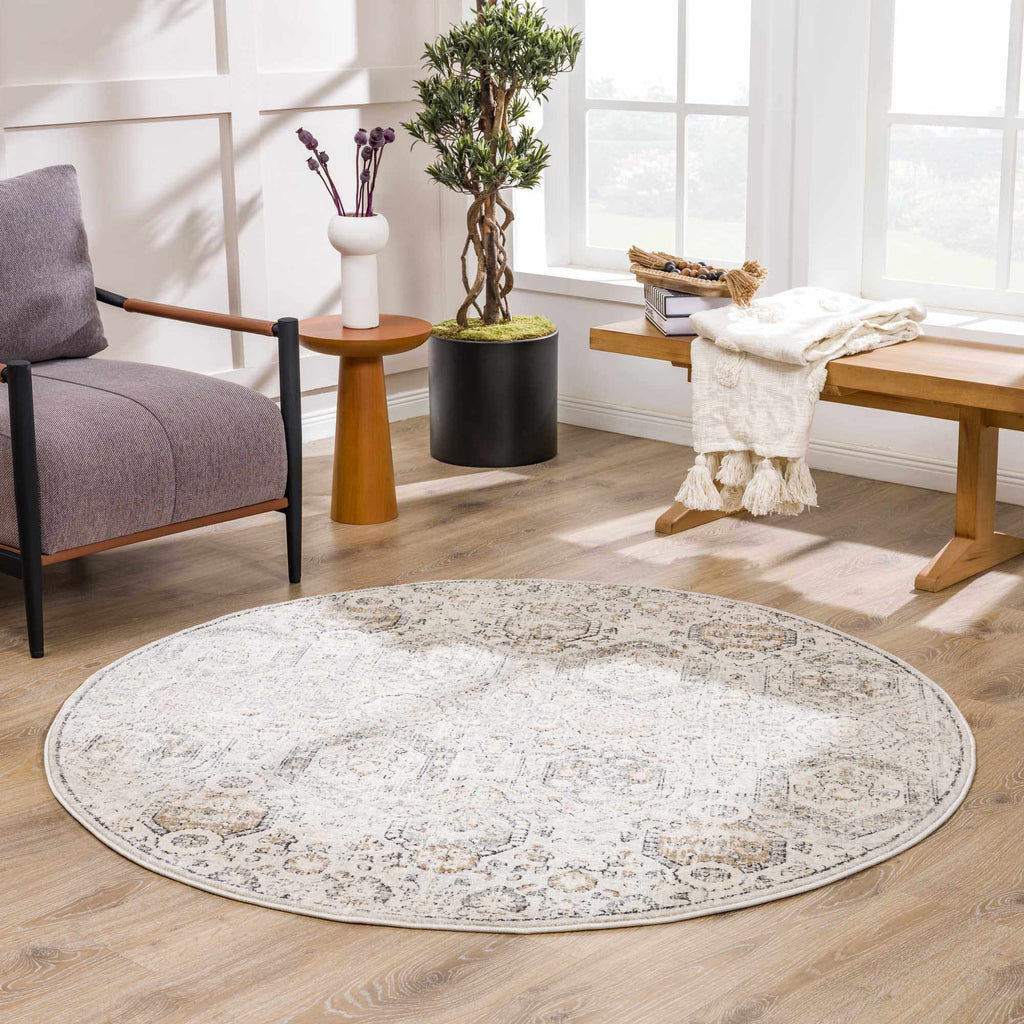 Parkerfield Moroccan Farmhouse Area Rug