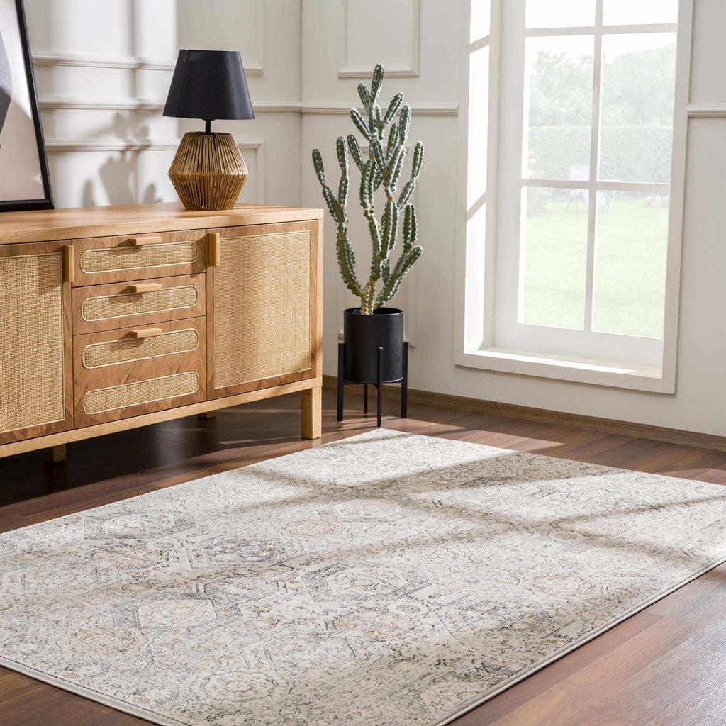 Parkerfield Moroccan Farmhouse Area Rug