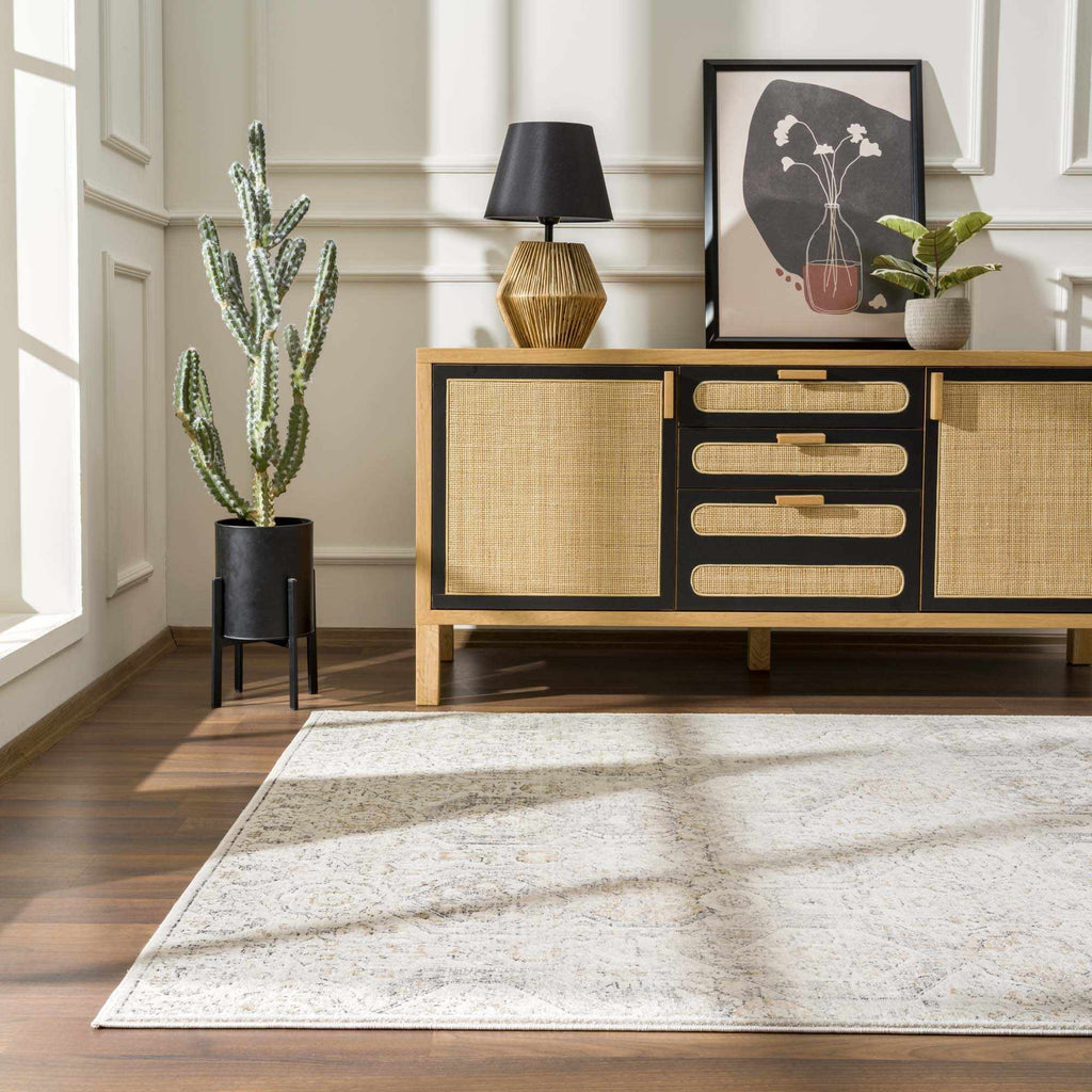 Parkerfield Moroccan Farmhouse Area Rug